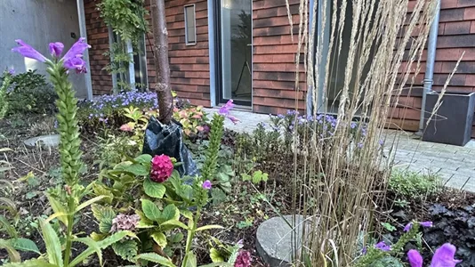 Kontorlokaler til leje i Næstved - billede 1