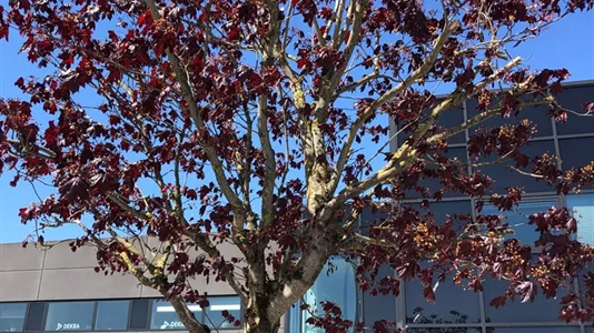 Kontorlokaler til leje i Herning - billede 24