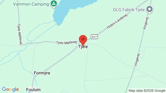 Kontorlokaler til leje i Tjele - kort over placeringen